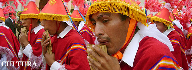 Consulado del Perú en Río de Janeiro - Cultura